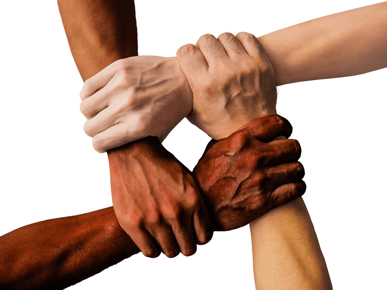 Nonprofits